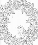 Coloring Nature Pages Adult Harmony Book Print Color Drawing Templates Choose Board Patterns Pattern sketch template