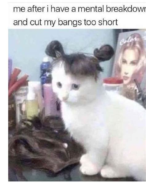 Short Bangs Are Either A Hit Or Hard Miss Myfavcatmeme