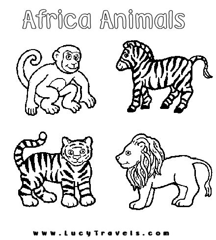 images  safari worksheets  preschool   zoo animals