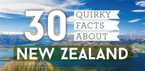 quirky facts   zealand infographic  fact site