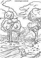Wald Ausmalbild Malvorlage Ausmalen Zum Laubwald Kinderbilder Kostenlose Einige sketch template