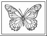 Butterfly Coloring Beautiful Pages Printable Getdrawings Getcolorings sketch template