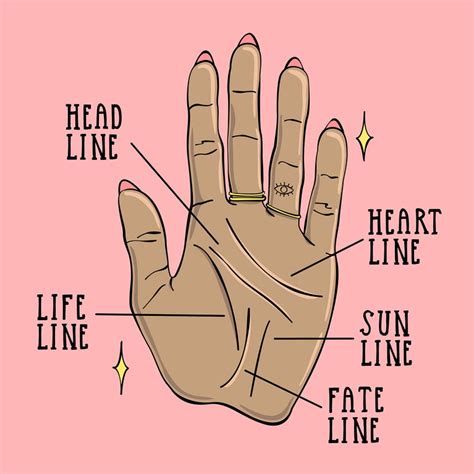 palm reading  beginners  guide  reading palm lines allure