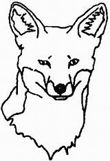 Fox Coloring Pages Coloringpages1001 sketch template