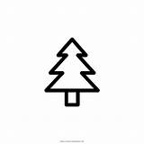 Coloring Pine Tree sketch template