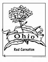 Ohio Coloring State Pages Flower Brutus Buckeye Buckeyes Drawing Football Osu Printables Kids Carnation Red Getdrawings Comments sketch template