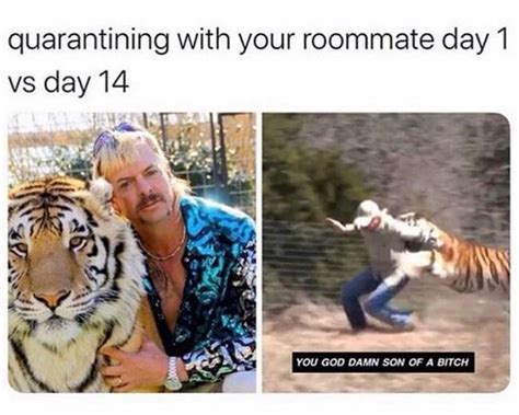 65 Of The Best Funny Tiger King Memes And Tweets