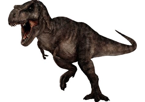 tyrannosaurus rex   darbarrrr  deviantart