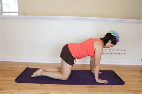 yoga practice   active table pose