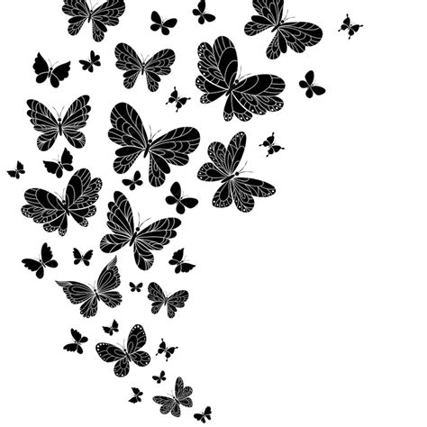 vector black  white flying butterflies  outspread wings set