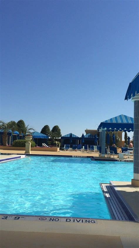 pool   beau rivage casino  resort resort pool biloxi