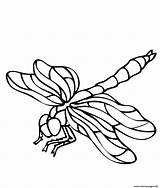Dragonfly Coloring Pages Printable Adults Print Dragonflies Simple Drawing Animals Outline Color Clipart Cliparts Cartoon Getdrawings Prints Template Library Realistic sketch template