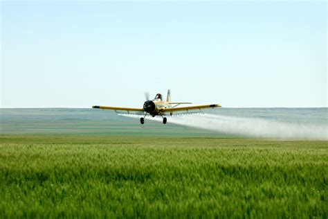 Beyond Gluten Are Wheat Pesticides The True Culprit Big Think