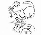 Kucing Koleksi Comel Mewarna Indah Paling Pewarna Webtech360 sketch template