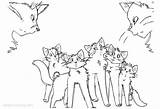 Warrior Cats Coloring Pages Printable Kids Color Print sketch template