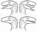 Jurassic Raptor Velociraptor sketch template