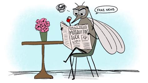 mosquito myths   truth   bite