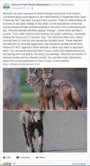 illinois residents warned  infected zombie coyotes daily mail