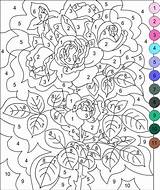 Number Color Coloring Pages Adult Adults Kids sketch template