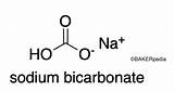 Bicarbonate Sodium Bakerpedia Origin sketch template