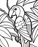 Papegaaien Kleurplaten sketch template