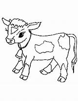 Cow Coloring Pages Calf Baby Clipart Cows Cute Color Print Animals Cattle Para Drawing Printable Cartoon Colorear Dibujos Netart Clip sketch template