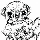 Pug Puppies Getdrawings Bestcoloringpagesforkids Doug Adultes Teacup Moins Chiens Coloriages Getcolorings Colorings sketch template
