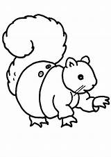 Squirrel Indiaparenting sketch template