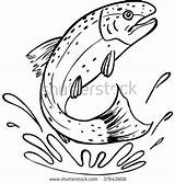 Trout Rainbow Clip Drawing Clipart Line Brook Fish Jumping Coloring Vector Shutterstock Stock Patterns Drawings Stencil Color Template Printable Pages sketch template