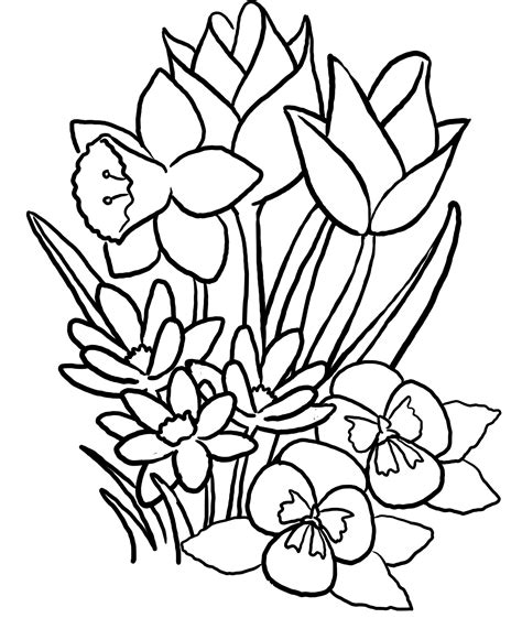 rose bud coloring pages  getdrawings