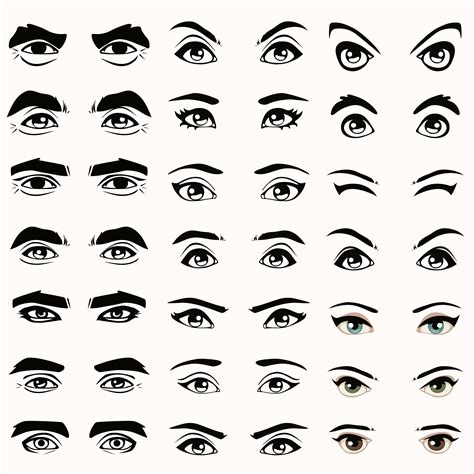 tipos de ojos sus diferentes formas  caracteristicas blog de