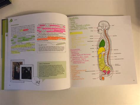 care anatomie kreativ lernen   schwetzingen fuer  zum