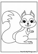 Squirrels Squirrel Iheartcraftythings sketch template