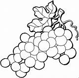 Grape Sketch Clipart Clip Leaf sketch template