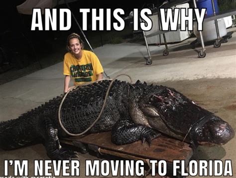 national florida day  images memes quotes gif captions pic