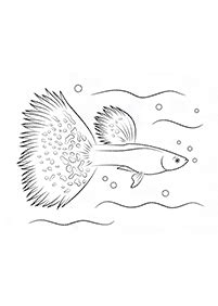 fish printable coloring pages