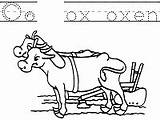 Ox Letter Trace Worksheets Preschool Coloring Oxen Activities Printable Activity Handwriting Pages Sound Lesson Plan Tracing Ws School First Posters sketch template