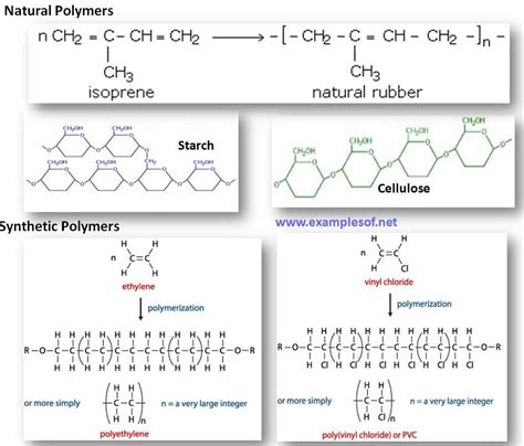 polymers  monomers  nude porn