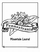 Coloring Pennsylvania Flower Pages State Kids Laurel Mountain Drawing Jr Activities Drawings Designlooter Flag Choose Board 880px 15kb sketch template