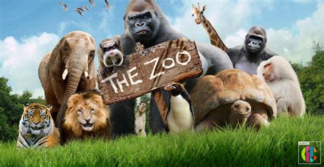 zoo animals   stars   tv show whats  south west