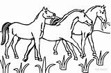 Horseland Cool2bkids Pferde Zum sketch template