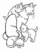 Coloring Baby Cat Pages Animals Mom Moms Coloringbay sketch template