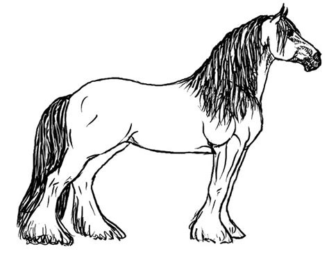 horse drawing coloring child coloring