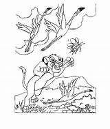 Leeuwenkoning Roi Simba Leone Coloriages Colorare Konig Lowen Films Malvorlagen Mewarnai 2923 Animasi Animaatjes Bergerak Disneymalvorlagen Ausmalbilder sketch template