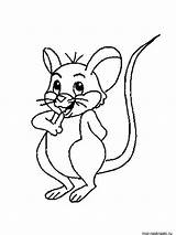 Mouse Coloring Pages Printable sketch template