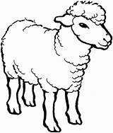 Sheep Coloring Outline Pages Lamb Drawing Male Line Baby Minecraft Alpha Printable Color Print Coloringsky Cartoon Bighorn Face Template Kids sketch template