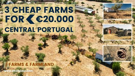 cheap farms  sale   central portugal youtube