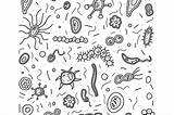 Germs 30seconds Health sketch template