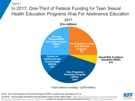 Abstinence Education Programs Definition Funding And Impact On Teen