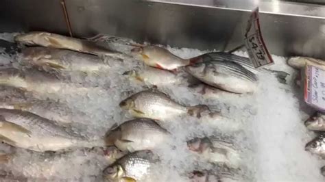 fish  hong kong market youtube